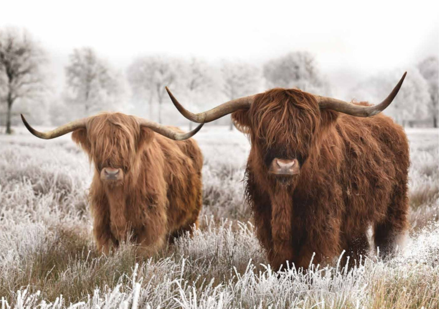 A1 Decoupage Fiber Paper - “Highland Harmony”