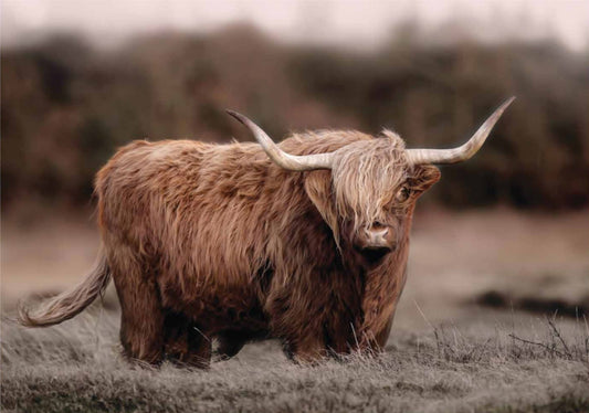 A1 Decoupage Fiber Paper - “Highland Grace”