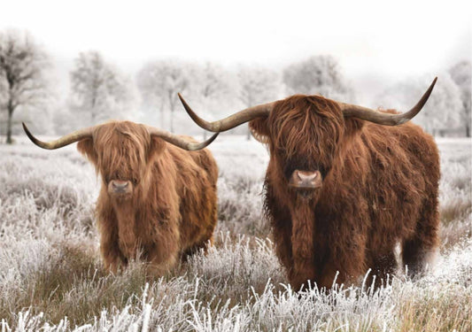 A1 Decoupage Fiber Paper - “Highland Harmony”