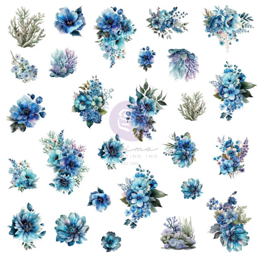 A Mermaid's Tale Collection Ephemera - Ocean Wonders