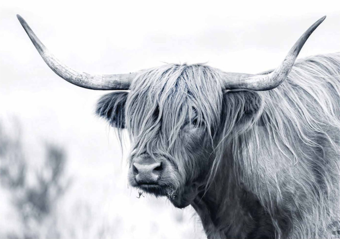 A1 Decoupage Fiber Paper - “Serenade of Shaggy”