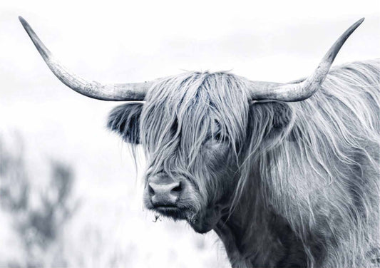 A1 Decoupage Fiber Paper - “Serenade of Shaggy”